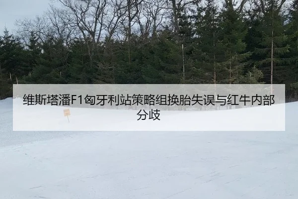 wei-si-ta-pan-xiong-ya-li-zhan-ce-lve-zu-huan-tai-shi-wu-yu-hong-niu-nei-bu-fen-qi-3-801.jpg